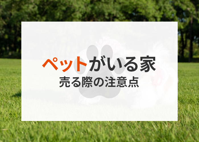 浜松のプロ不動産屋が解説｜ペットがいる家を売る際の注意点